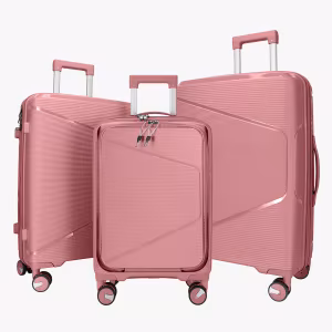 Чемодан Fly M Desert Rose 9