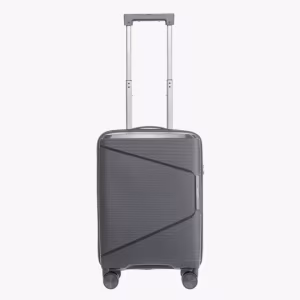 Чемодан Fly S Anthracite 2