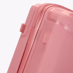 Чемодан Fly XL Desert Rose 4