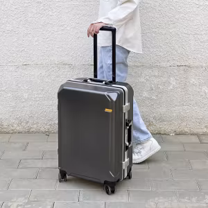 Чемодан Parker M Metallic Gray 6