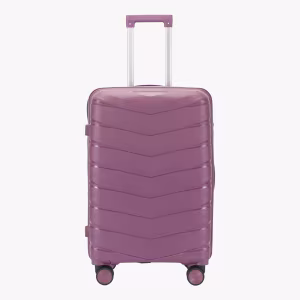 Чемодан Rollins S Cosmic Purple 2