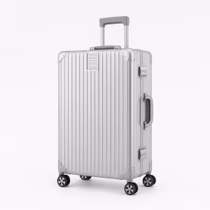 Чемодан Ronald S Steel Grey 1