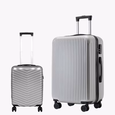 Set de Valize Dynamic S Mini Silver + Ostin M Titan