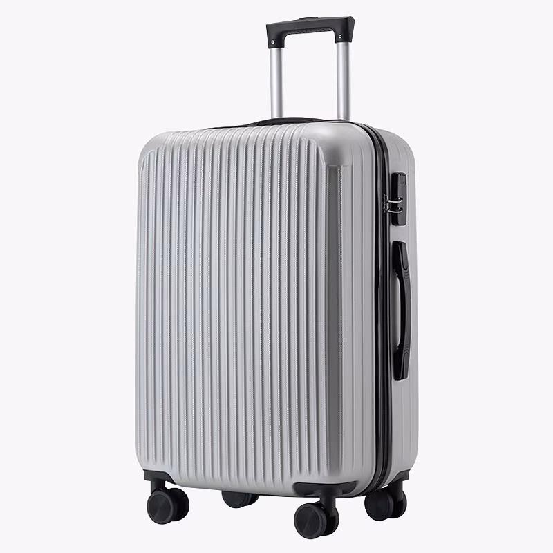 Set de Valize Dynamic S Mini Silver + Ostin M Titan 3