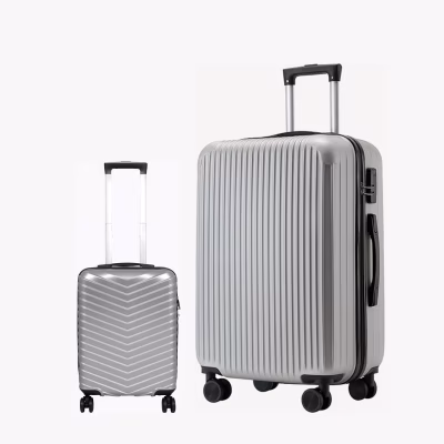 Комплект Чемоданов Dynamic S Mini Silver + Ostin XL Titan