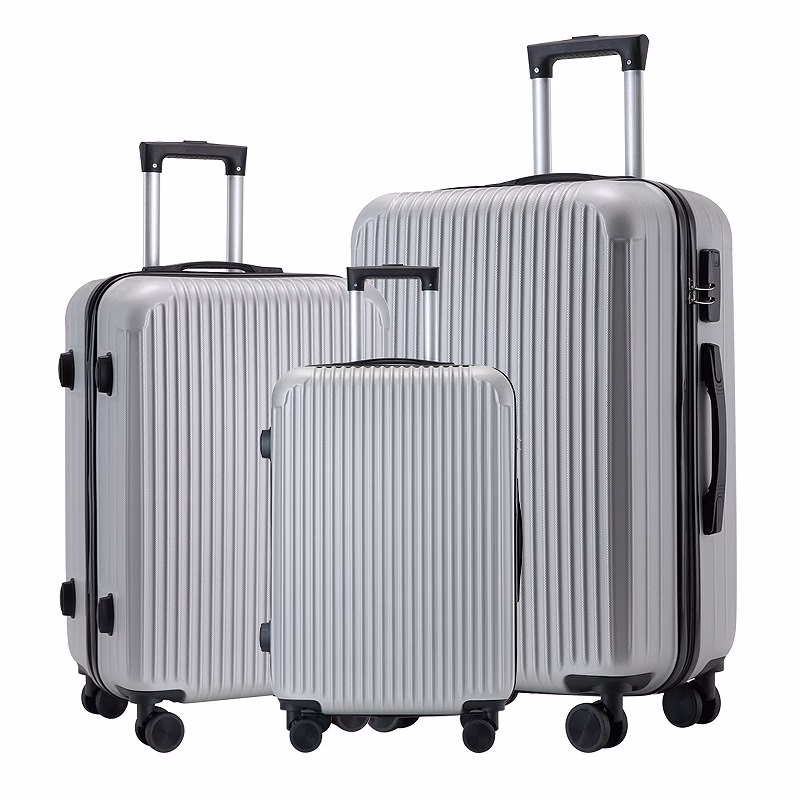 Комплект Чемоданов Dynamic S Mini Silver + Ostin XL Titan 6