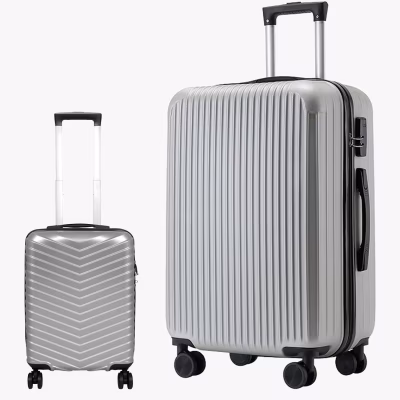 Комплект Чемоданов Dynamic S Mini Silver + Ostin XXL Titan