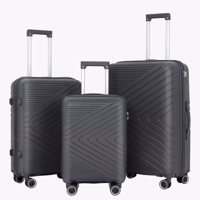Set de Valize Fly Dark Gray