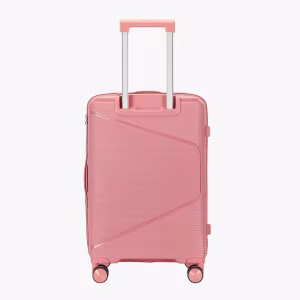 Комплект Чемоданов Fly S-M Desert Rose 4