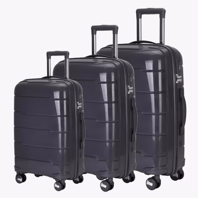 Set de Valize Oliver Onyx Gray