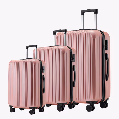 Set de Valize Ostin Rose