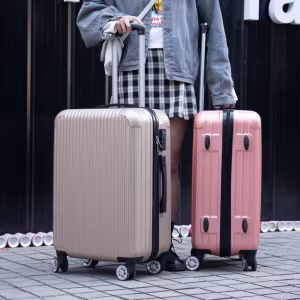 Set de Valize Ostin Rose 4