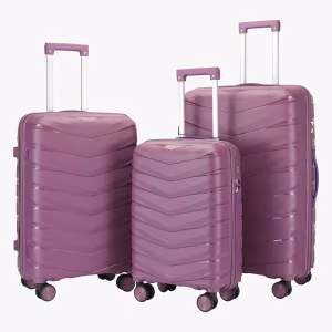 Комплект Чемоданов Rollins S-M-XL Cosmic Purple 1