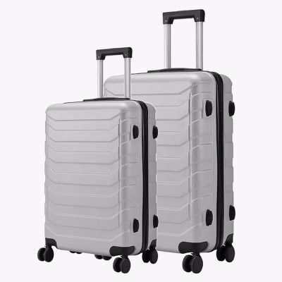 Set de Valize Titan S-M Silver