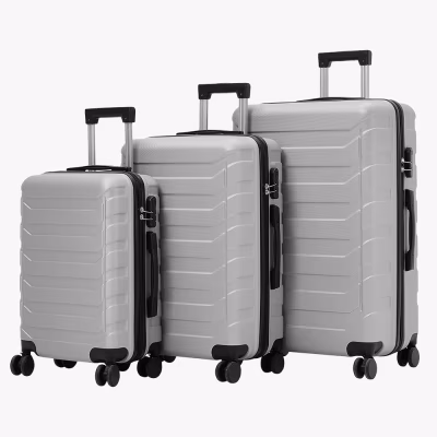 Set de Valize Titan S-M-XL Silver