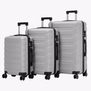 Set de Valize Titan S-M-XL Silver 1