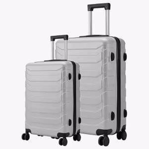 Set de Valize Titan S-XL Silver 1