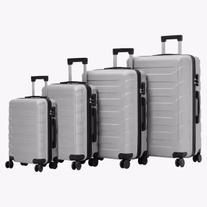 Set de Valize Titan Silver 1
