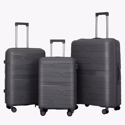 Set de Valize Travel Dark Gray